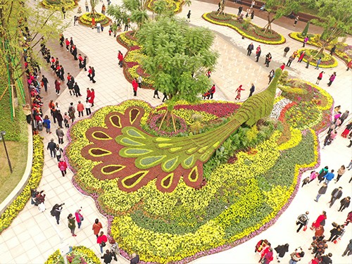 重慶五色草造型